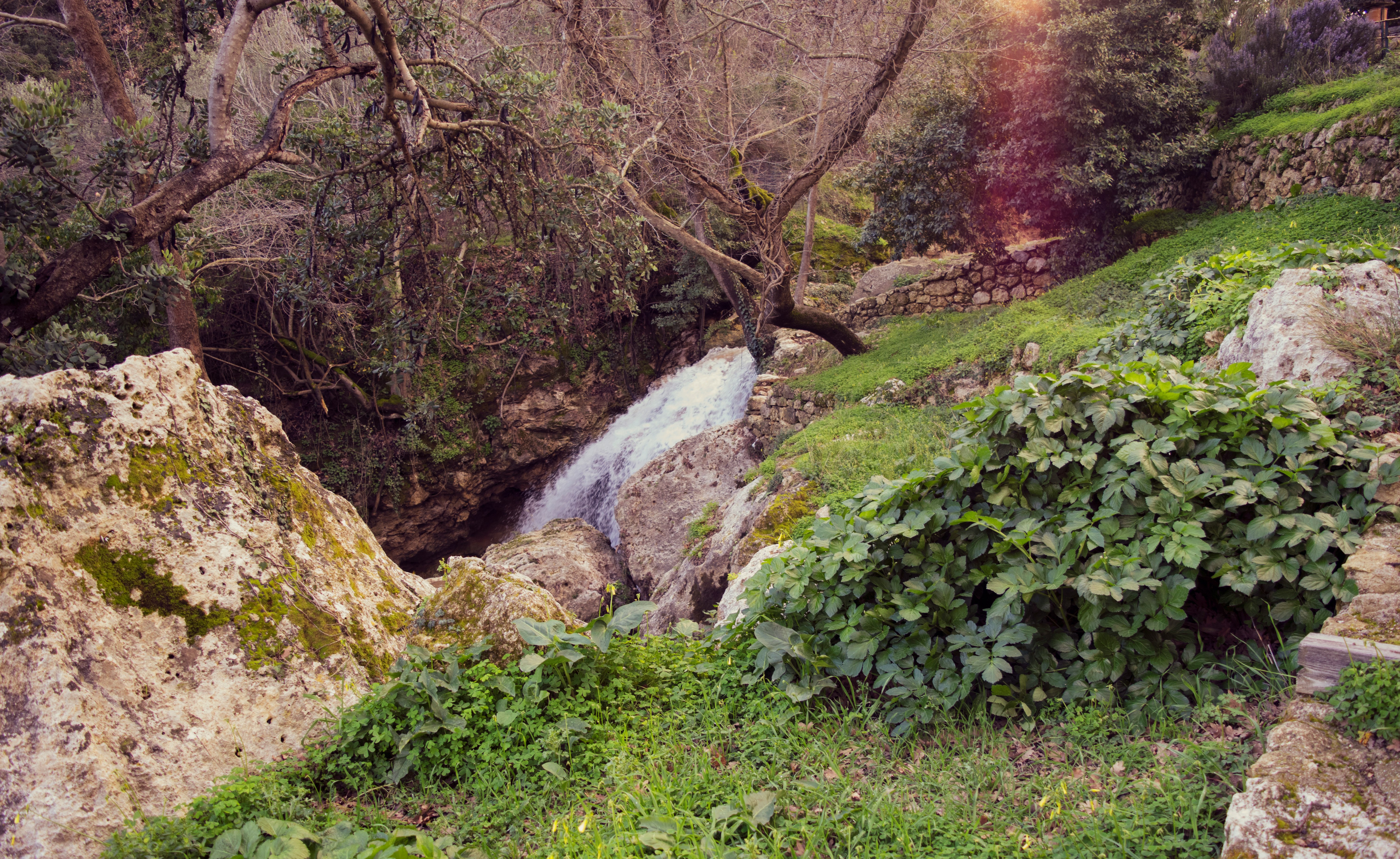 green grass and trees near waterfalls